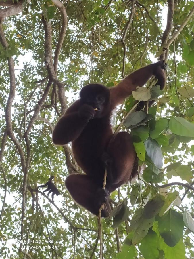 Jacamar Lodge Expeditions Iquitos Luaran gambar