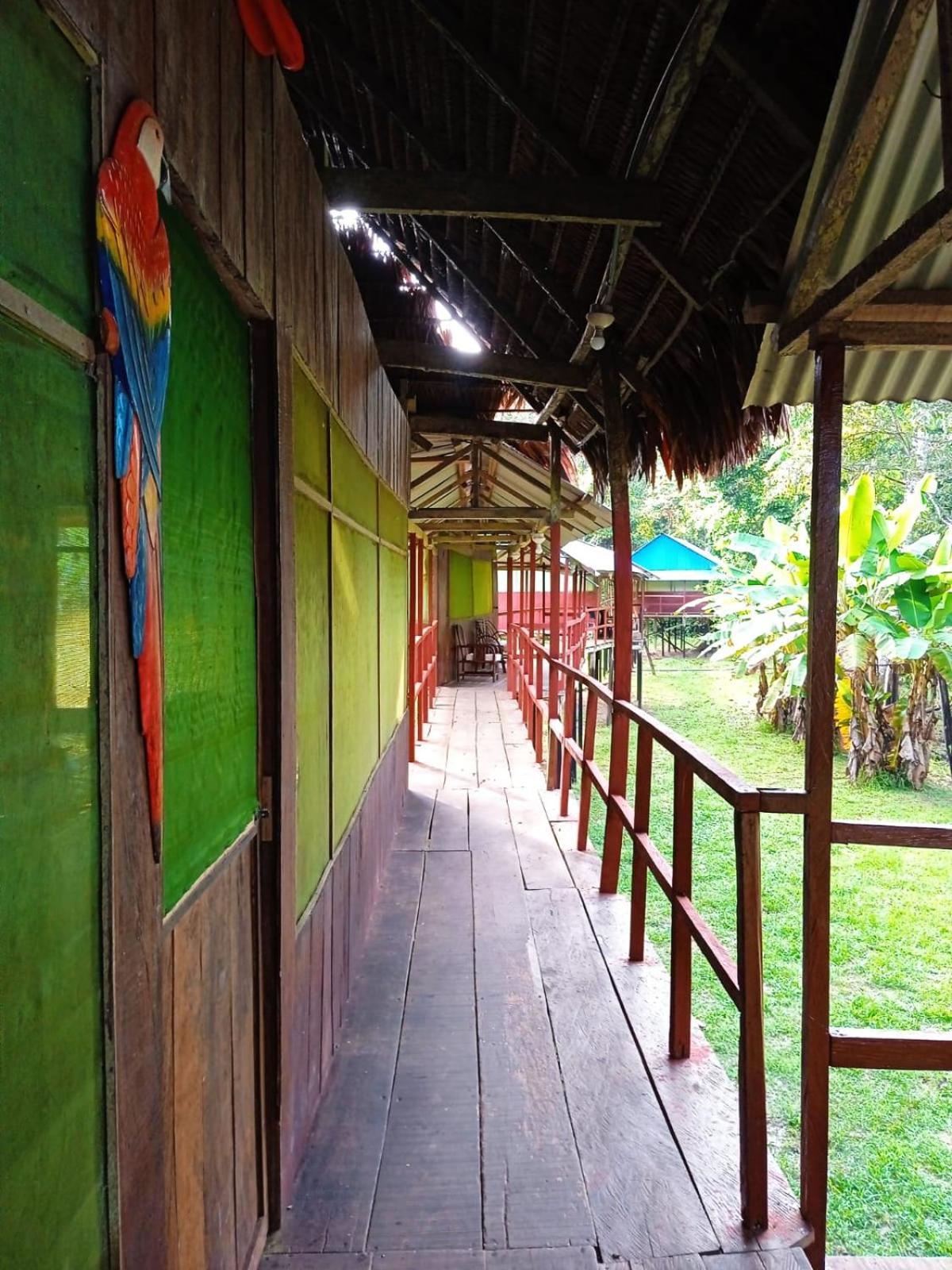 Jacamar Lodge Expeditions Iquitos Luaran gambar