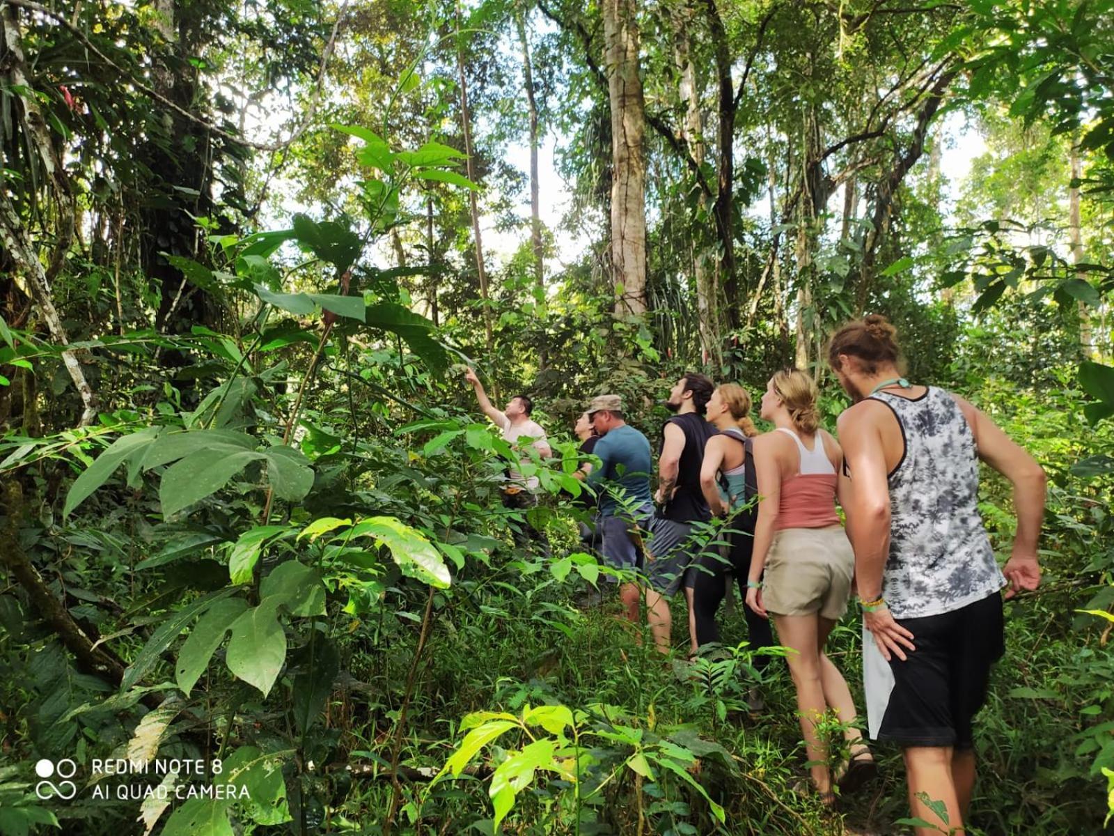 Jacamar Lodge Expeditions Iquitos Luaran gambar
