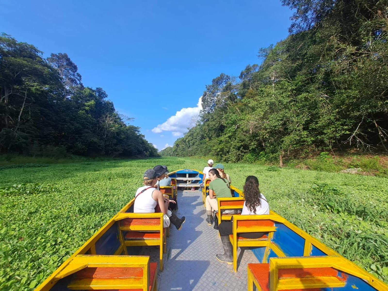 Jacamar Lodge Expeditions Iquitos Luaran gambar